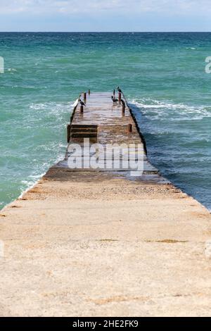 Cormorans assis sur un brise-lames en béton humide, photo verticale prise sur la côte de la mer Noire un jour ensoleillé d'été, la Crimée Banque D'Images