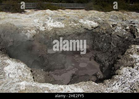 Piscines de boue à Wai-o-Tapu Thermal Wonderland, région de Waikato sur l'île du Nord de la Nouvelle-Zélande Banque D'Images