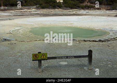 La piscine à huîtres de Wai-o-Tapu Thermal Wonderland, région de Waikato sur l'île du Nord de la Nouvelle-Zélande Banque D'Images