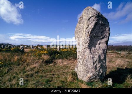 Carnac, alignement le petit Ménec (Morbihan), Steinreihen mit Menhiren Banque D'Images