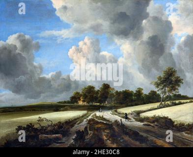 Jacob van Ruisdael.Tableau intitulé « champs de blé » par le peintre néerlandais de l'âge d'or, Jacob Isaackszoon van Ruisdael (c.1629- 1682), huile sur toile, c.1670 Banque D'Images