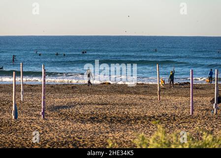 Les gens et leurs chiens à Del Mar Dog Beach.Del Mar, Californie, États-Unis.Photographié le matin d'hiver. Banque D'Images