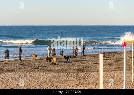 Les gens et leurs chiens à Del Mar Dog Beach.Del Mar, Californie, États-Unis.Photographié le matin d'hiver. Banque D'Images