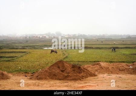 Antananarivo, Madagascar - 07 mai 2019: Paysage typique pendant une journée découverte près de la capitale de Madagascar, maisons à distance de brume, personnes travaillant avec zeb Banque D'Images