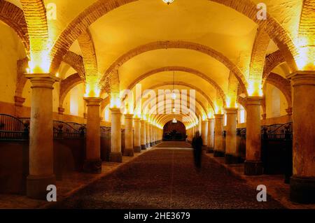 Reales Caballerizas de Cordoba, Andalousie Banque D'Images