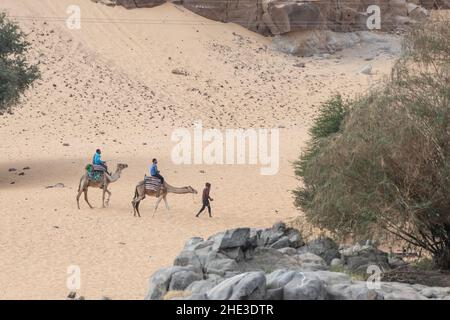 Une promenade à dos de chameau dans la nature égyptienne. Banque D'Images