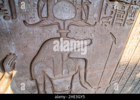 Une sculpture de relief de Sobek, l'ancien dieu crocodile égyptien, au temple de Kom Ombo en Égypte. Banque D'Images