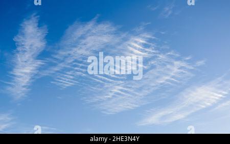 Les cirrus contre le ciel bleu Banque D'Images