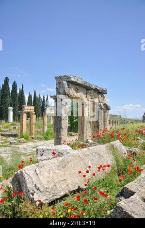 Plateia à colonnades, Agora, Hiérapolis, province de Denizli, République de Türkiye Banque D'Images