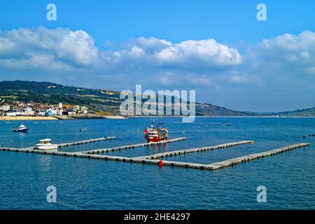 Dorset UK,,Lyme Regis,à l'ensemble de la baie de Lyme au Cobb, vers ville et Charmouth. Banque D'Images