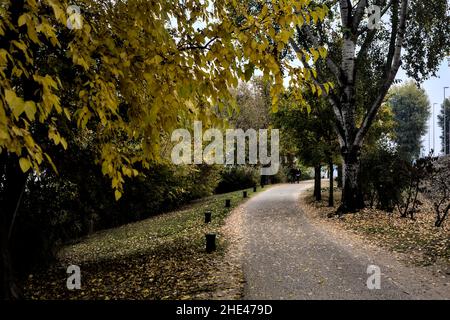 Chemin de gravier au bord d'un lac bordé d'arbres par une journée nuageux en hiver Banque D'Images