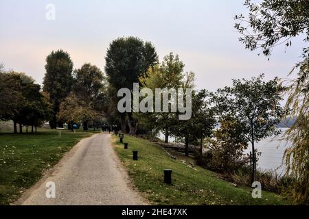 Chemin de gravier au bord d'un lac bordé d'arbres par une journée nuageux en hiver Banque D'Images