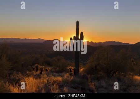 Coucher de soleil avec des couleurs vives derrière Saguaro Cactus et pittoresque McDowell Sonoran Desert Preserve Landscape dans le nord de Scottsdale, Arizona États-Unis Banque D'Images