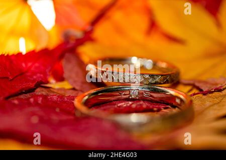 Gros plan de deux anneaux de mariage l'un sur l'autre Banque D'Images