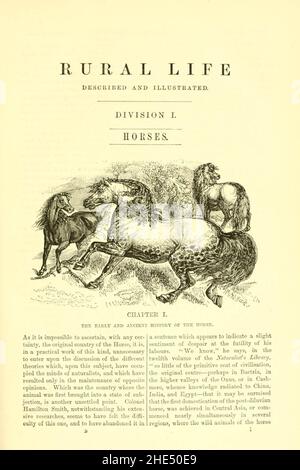 La vie rurale décrite et illustrée, dans la gestion des chevaux, chiens, bovins, moutons, porcs,volaille, etc Banque D'Images