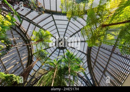 Vue intérieure de la maison verte dans le Balboa Park Botanical Building à San Diego, Californie Banque D'Images