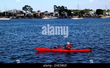 Homme rasant un canoë rouge sur la Brisbane River bleu vif lors d'une journée ensoleillée en Australie Banque D'Images