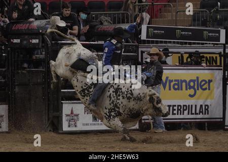 New York, États-Unis.8 janvier 2022, New York, New York, New York,NY, Etats-Unis: NEW YORK, NY - JANVIER 8: Eduardo Aparecido du Brésil fait un tour de 89 points dans le 2nd Round de l'événement PBR Monster Energy Professional Bull Riders à Madison Square Garden le 8 janvier 2022 à New York, NY, Etats-Unis.(Credit image: © Matt Davies/PX Imagens via ZUMA Press Wire) Credit: ZUMA Press, Inc./Alamy Live News Credit: ZUMA Press, Inc./Alamy Live News Banque D'Images