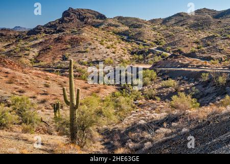Buckskin Mountains, Swansea Mine Road, Sonoran Desert, Arizona, États-Unis Banque D'Images