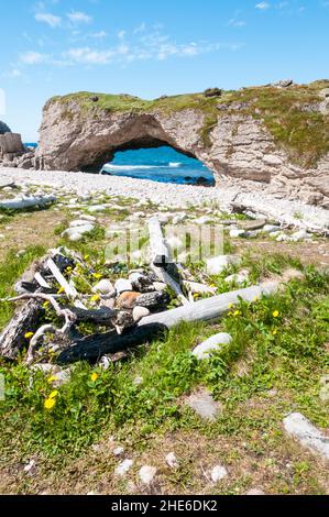 Arches Provincial Park sur la péninsule nord de Terre-Neuve, Canada Banque D'Images