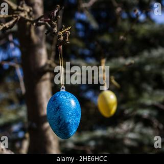 Deux œufs de Pâques de couleur suspendus à un arbre Banque D'Images