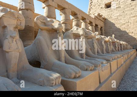 Une brute de sphinx dans le complexe du temple de Karnak à Louxor, en Égypte. Banque D'Images