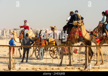 Les chameaux marchent les touristes près des pyramides de Gizeh, le Caire, l'Egypte Banque D'Images