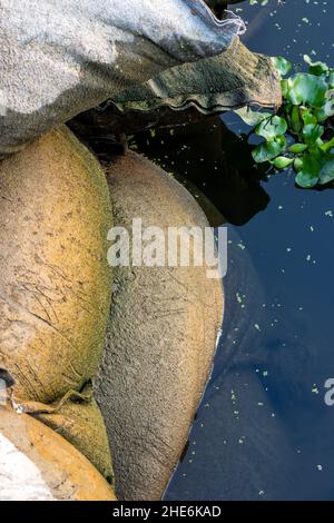 Vue rapprochée en haut du sac de sable près de la rivière qui sert à protéger la rive de la rivière de l'érosion Banque D'Images