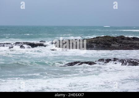 Godrevy,Cornwall,9th janvier 2022,les gens de l'hôtel pour une promenade matinale sur une journée grise, humide et lugubre à Godrevy,Cornwall.Étonnamment, quelques personnes marchaient le long des falaises pour regarder les phoques et le phare de Godrevy même si la température était un 9C froid, mais avec le facteur de vent il a été beaucoup plus froid.Credit: Keith Larby/Alay Live News Banque D'Images