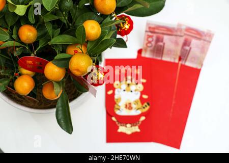 L'usine de Kumquat de l'année chinoise avec des enveloppes rouges de Lucky Money avec de l'argent en arrière-plan, image de concept comme kumquats représente la richesse, la prospérité et la chance Banque D'Images