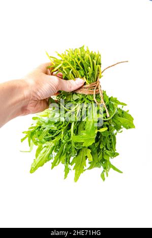 Ruccola vert frais biologique tenu à la main sur fond blanc isolé Banque D'Images