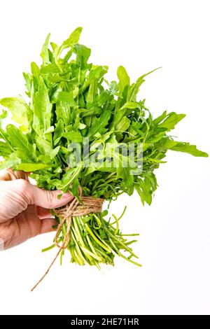 Ruccola vert frais biologique tenu à la main sur fond blanc isolé Banque D'Images