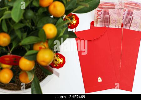 Enveloppes rouges du nouvel an chinois avec 100 yuans chinois à l'intérieur, sous la plante Kumquat chanceux, les kumquats représentent la richesse, la prospérité et la chance en Chine Banque D'Images