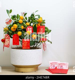 Enveloppe rouge nouvel an chinois avec de l'argent à l'intérieur, outre la plante Kumquat chanceux, Kumquats représentent la richesse, la prospérité et la chance Banque D'Images
