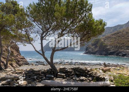 crique solitaire sur la costa brava un jour d'été dans la municipalité de roses Banque D'Images