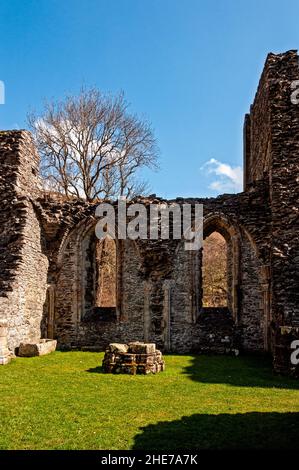 Les vestiges de deux chapelles dans l'église du 13th siècle Valle Crucis abbaye ruines fondée en 1201 par Madog ap Gruffydd Maelor, prince de Powys Fadog Banque D'Images