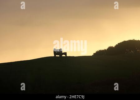 Beach Park, Dunure, Ayrshire, Écosse.Un banc unique silhoueté sur le sommet d'une colline herbeuse alors que le soleil d'hiver se couche Banque D'Images