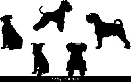 ensemble miniature shnauzer dog silhouette svg Illustration de Vecteur