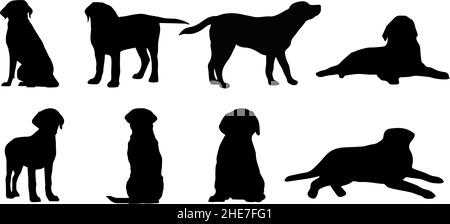 labrador retriever chien silhouette bundle svg Illustration de Vecteur