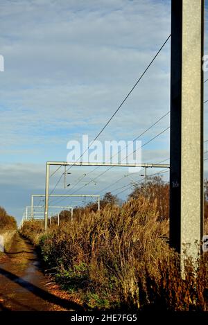 Câbles sous tension aériens le long de la ligne de chemin de fer de la côte est.(Vu d'une position sûre et légale). Banque D'Images