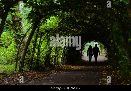 Deux personnes, couple silhouetted Walking through A tunnel of Lime Trees à l'extérieur du Prieuré de Christchurch, Christchurch en été, Royaume-Uni Banque D'Images