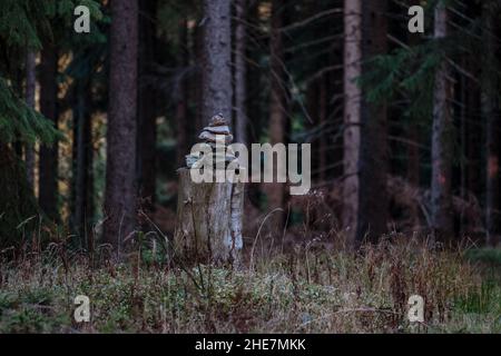 Pierres sur une souche d'arbre près d'une route de randonnée dans une forêt allemande Banque D'Images