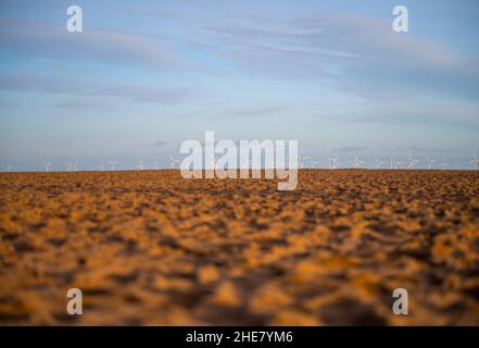 Des moulins à vent produisant de l'électricité dans la mer du Nord au-delà de la plage de sable à Skegness dans Lincolnshire, Royaume-Uni Banque D'Images