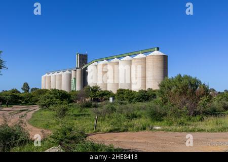 Silos à grains en béton dans le champ avec un ciel bleu clair Banque D'Images