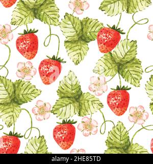 Motif sans couture avec fleurs, fruits et feuilles de fraises dessinées dans l'aquarelle sur fond transparent. Illustration de Vecteur