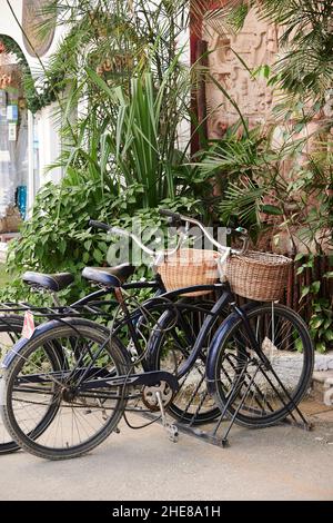 Deux vélos garés sur le côté de la route à Isla Holbox, Mexique Banque D'Images