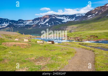 Rivière Fjardara dans le fjord de Seydisfjordur dans l'est de l'Islande Banque D'Images