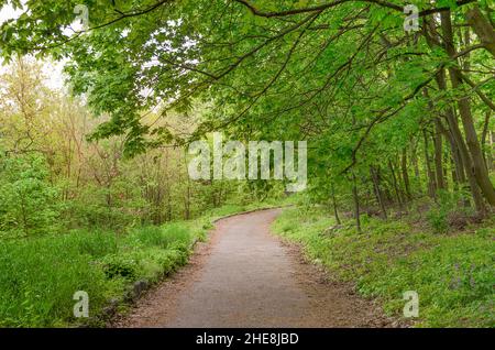 magnifique paysage de printemps, chemin de randonnée dans un parc avec des arbres par une chaude journée de printemps Banque D'Images