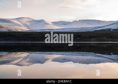 AVIEMORE, HIGHLANDS, ROYAUME-UNI.9th janvier 2022.C'est les Cairngorms avec la neige qui se reflète sur le Loch Morlich avec la formation de glace à Aviemore, Highlands, Écosse, le dimanche 9 janvier 2022.Credit: JASPERIMAGE / Alamy Live News Banque D'Images