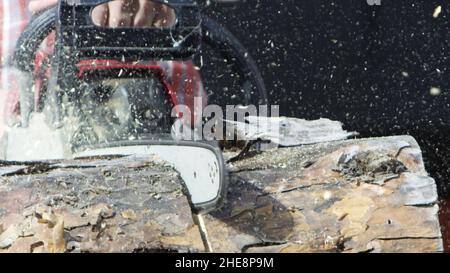 Gros plan sur le sciage d'une bûche à l'aide d'une tronçonneuse.Menuisier sciant une partie du tronc d'arbre avec des copeaux de bois volant sur les côtés. Banque D'Images